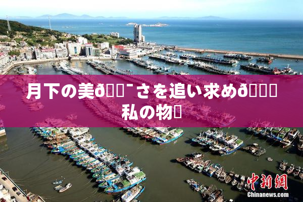 月下の美🔯さを追い求め🌃私の物語