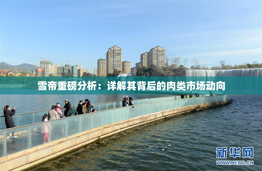 雪帝重磅分析：详解其背后的肉类市场动向