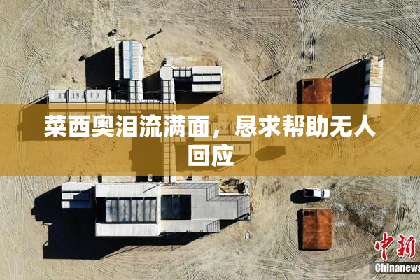 菜西奥泪流满面，恳求帮助无人回应