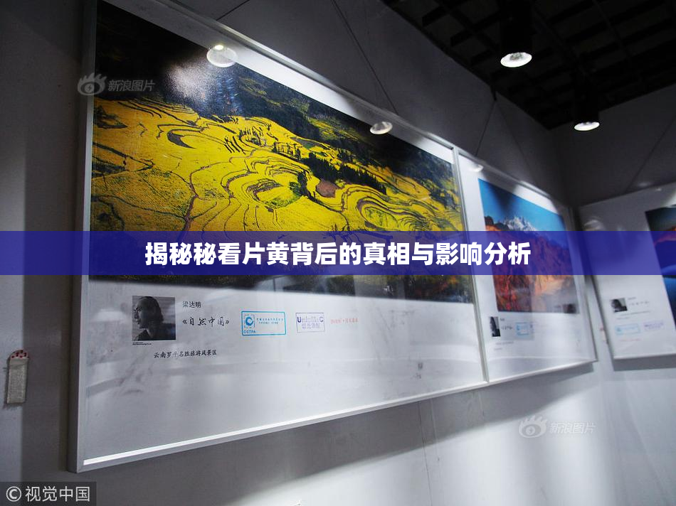 揭秘秘看片黄背后的真相与影响分析