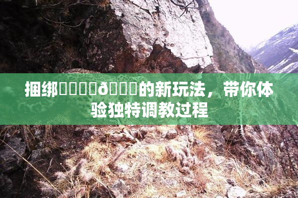 捆绑❌‌❌‌🔞的新玩法，带你体验独特调教过程