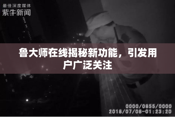 鲁大师在线揭秘新功能，引发用户广泛关注