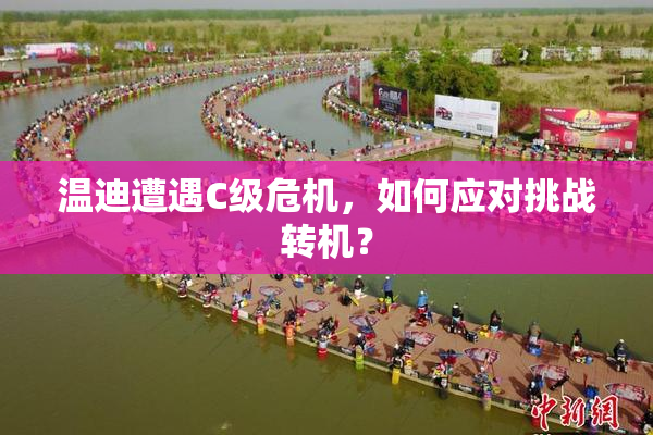 温迪遭遇C级危机，如何应对挑战转机？