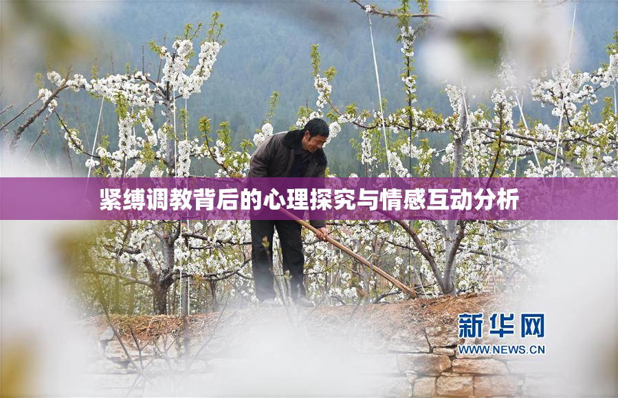 紧缚调教背后的心理探究与情感互动分析