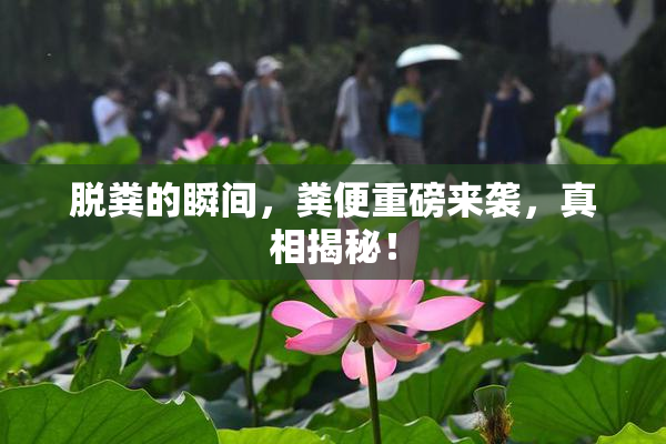 脱粪的瞬间，粪便重磅来袭，真相揭秘！