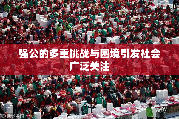 强公的多重挑战与困境引发社会广泛关注