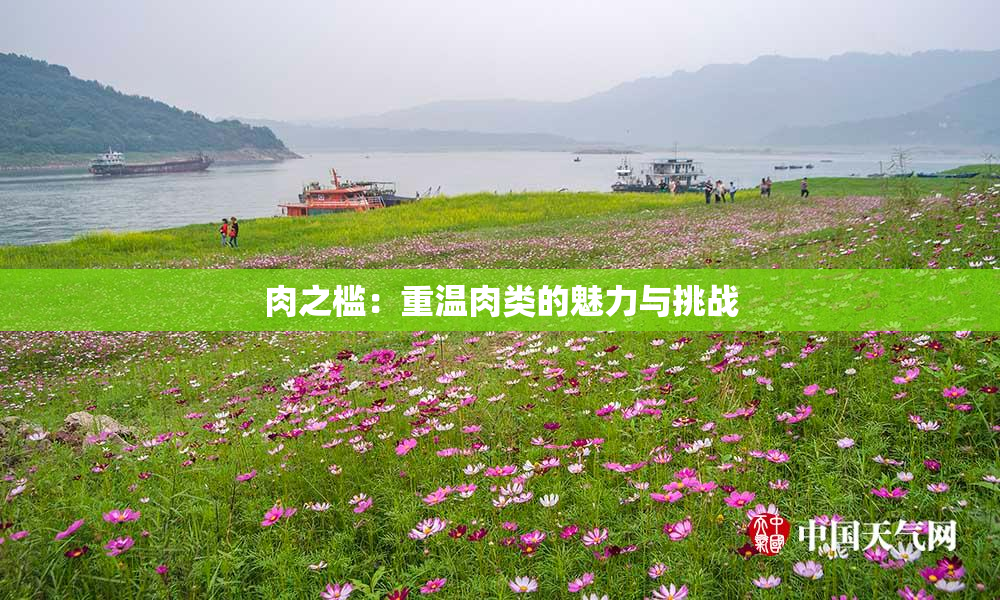 肉之槛：重温肉类的魅力与挑战