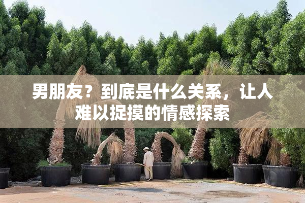 男朋友？到底是什么关系，让人难以捉摸的情感探索