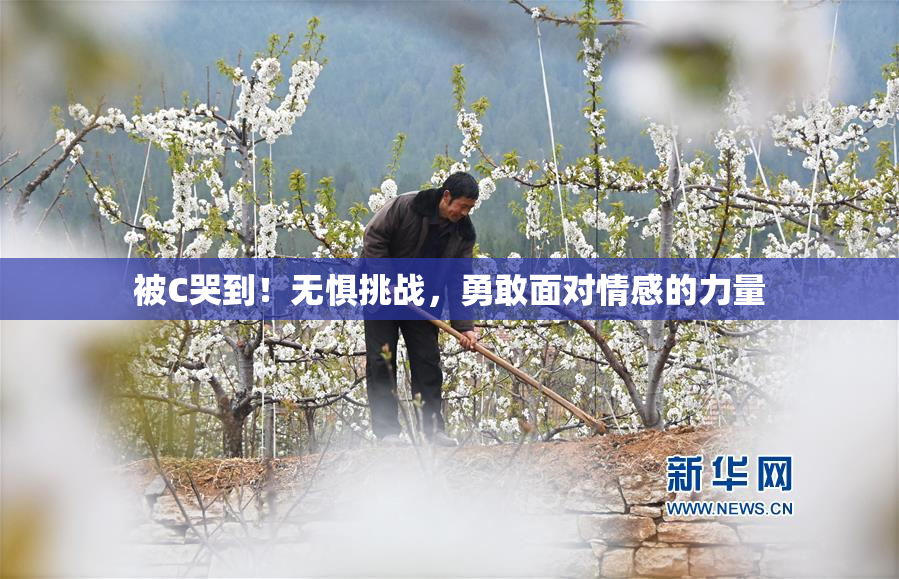 被C哭到！无惧挑战，勇敢面对情感的力量