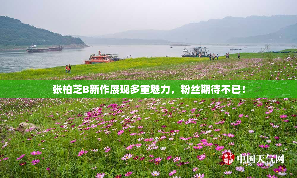 张柏芝B新作展现多重魅力，粉丝期待不已！