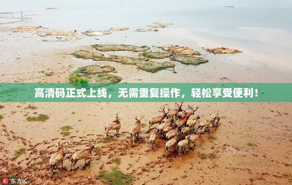 高清码正式上线，无需重复操作，轻松享受便利！