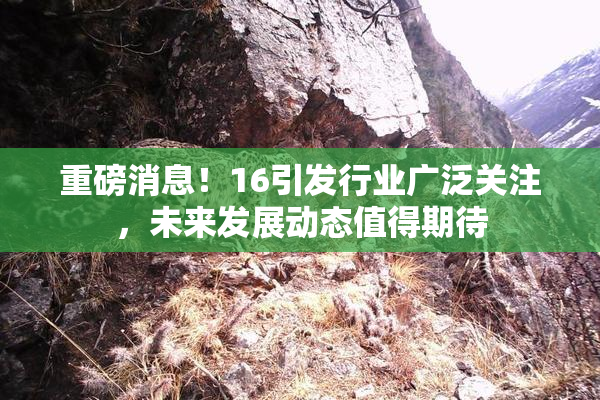 重磅消息！16引发行业广泛关注，未来发展动态值得期待