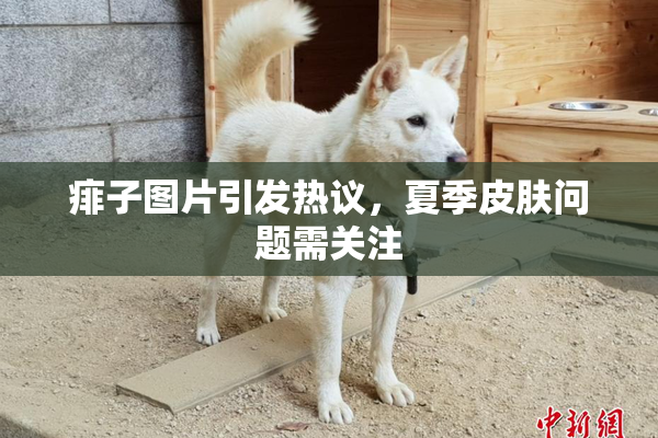 痱子图片引发热议，夏季皮肤问题需关注