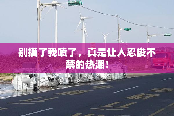 别摸了我喷了，真是让人忍俊不禁的热潮！