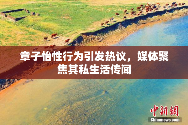章子怡性行为引发热议，媒体聚焦其私生活传闻