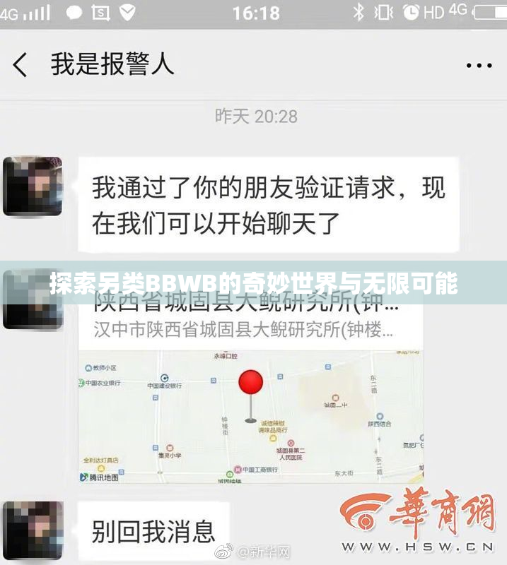 探索另类BBWB的奇妙世界与无限可能