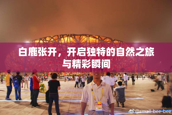 白鹿张开，开启独特的自然之旅与精彩瞬间
