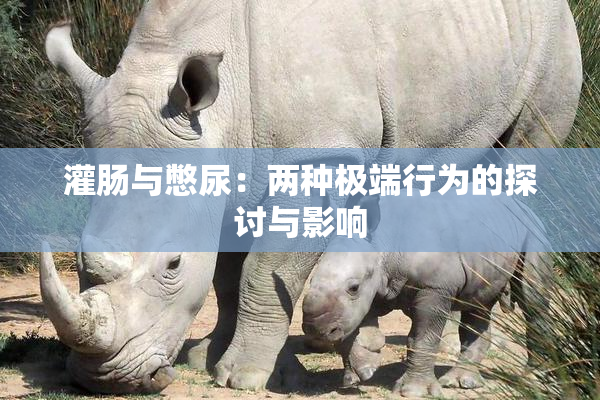 灌肠与憋尿：两种极端行为的探讨与影响