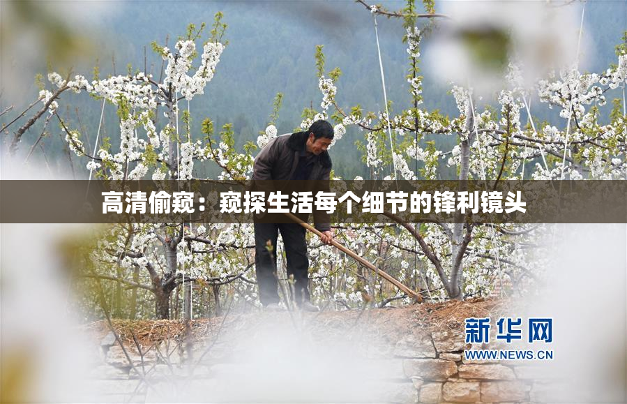 高清偷窥：窥探生活每个细节的锋利镜头