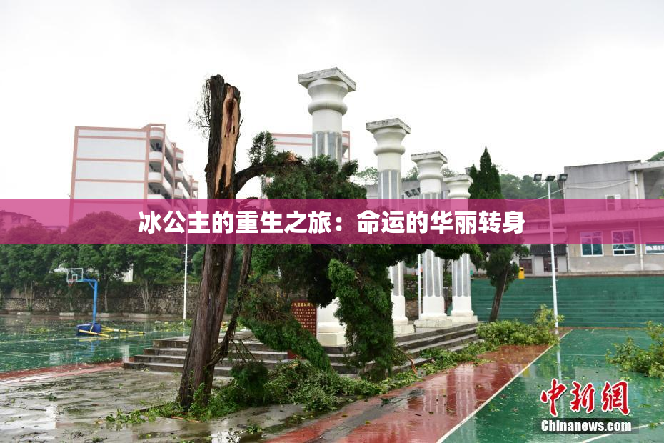 冰公主的重生之旅：命运的华丽转身