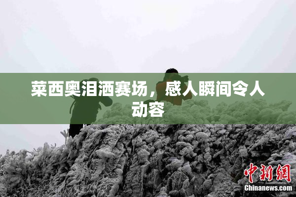菜西奥泪洒赛场，感人瞬间令人动容