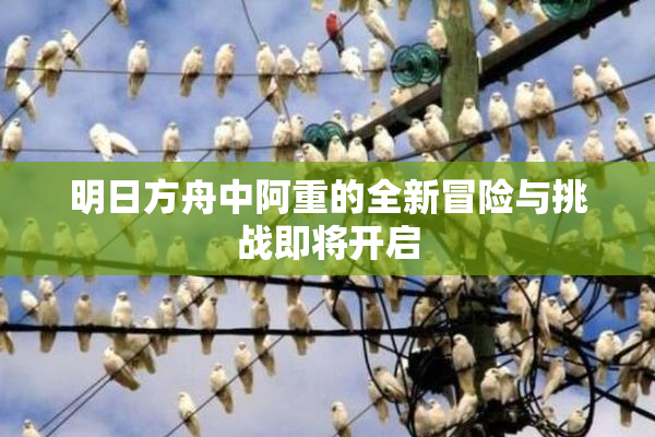 明日方舟中阿重的全新冒险与挑战即将开启