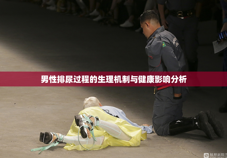 男性排尿过程的生理机制与健康影响分析