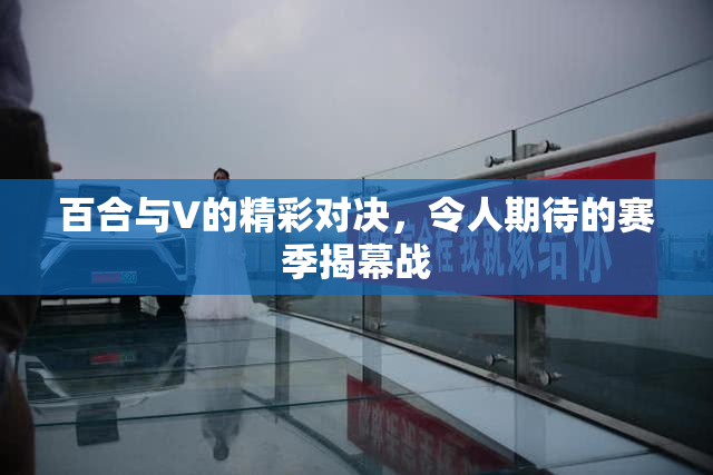 百合与V的精彩对决，令人期待的赛季揭幕战