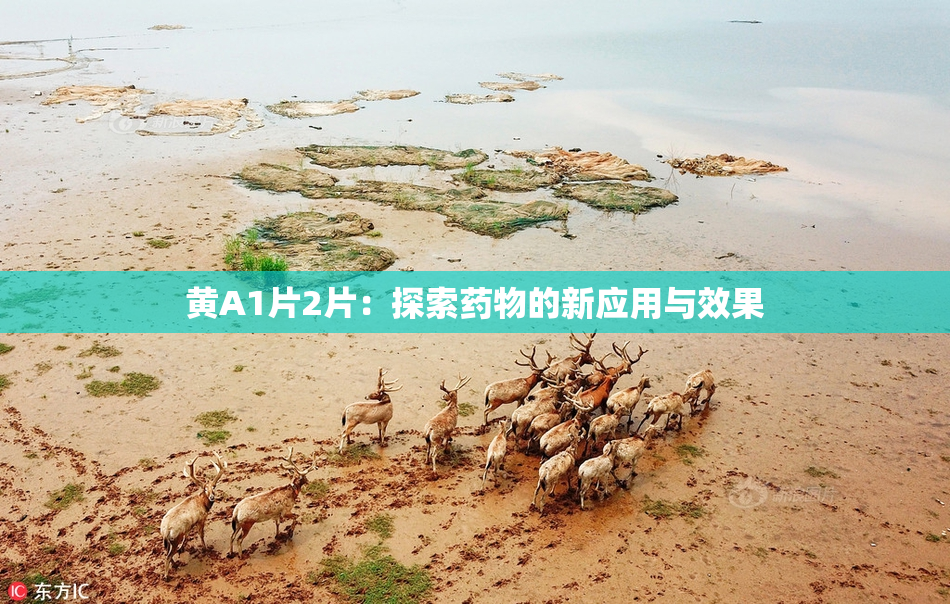 黄A1片2片：探索药物的新应用与效果