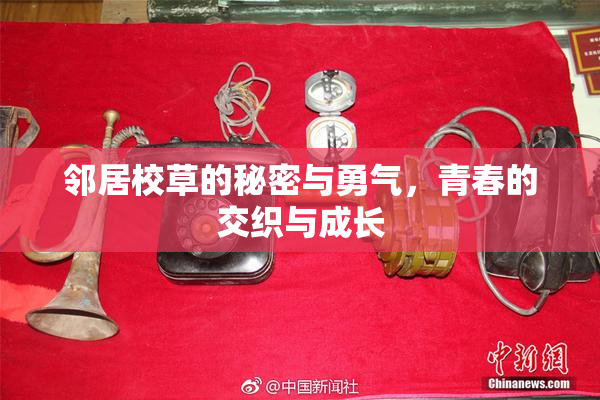 邻居校草的秘密与勇气，青春的交织与成长