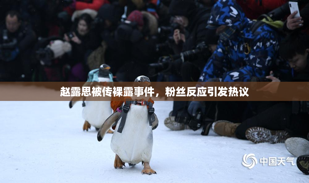 赵露思被传裸露事件，粉丝反应引发热议