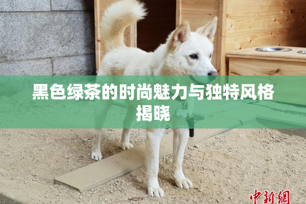 黑色绿茶的时尚魅力与独特风格揭晓