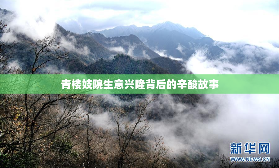 青楼妓院生意兴隆背后的辛酸故事