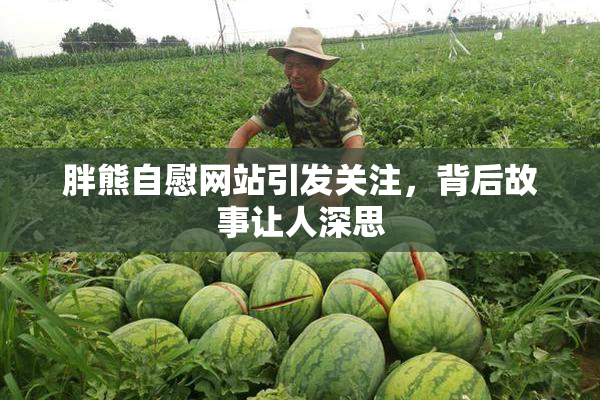 胖熊自慰网站引发关注，背后故事让人深思