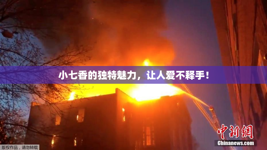 小七香的独特魅力，让人爱不释手！
