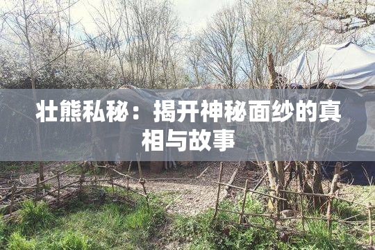 壮熊私秘：揭开神秘面纱的真相与故事