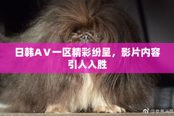 日韩AⅤ一区精彩纷呈，影片内容引人入胜