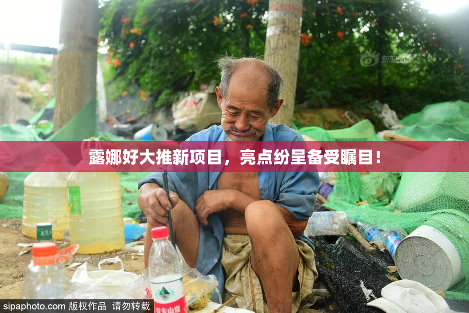 露娜好大推新项目，亮点纷呈备受瞩目！