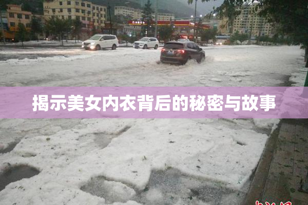 揭示美女内衣背后的秘密与故事