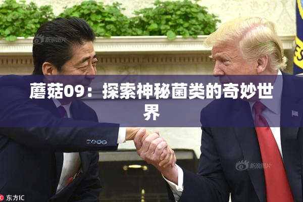 蘑菇09：探索神秘菌类的奇妙世界