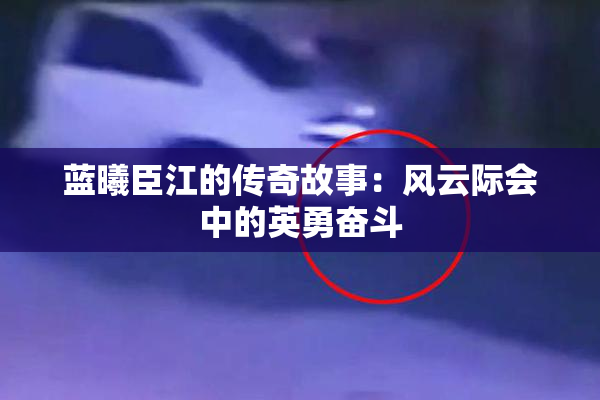 蓝曦臣江的传奇故事：风云际会中的英勇奋斗