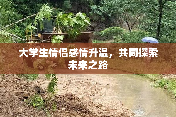 大学生情侣感情升温，共同探索未来之路