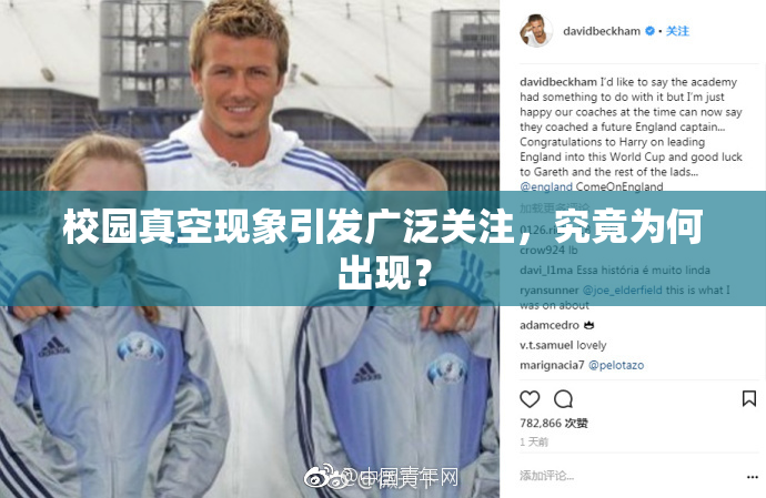 校园真空现象引发广泛关注，究竟为何出现？