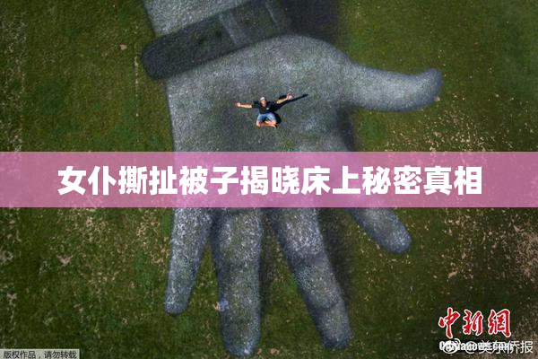 女仆撕扯被子揭晓床上秘密真相