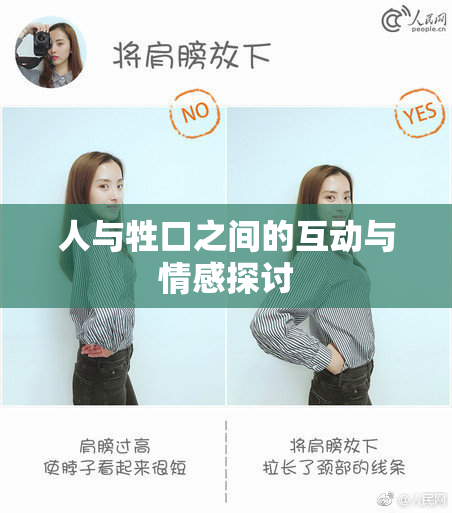 人与牲口之间的互动与情感探讨