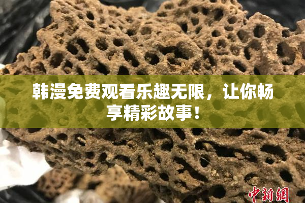韩漫免费观看乐趣无限，让你畅享精彩故事！