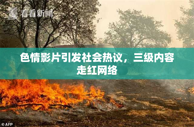 色情影片引发社会热议，三级内容走红网络