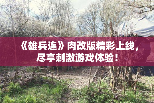 《雄兵连》肉改版精彩上线，尽享刺激游戏体验！