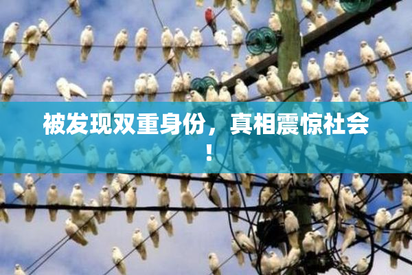 被发现双重身份，真相震惊社会！