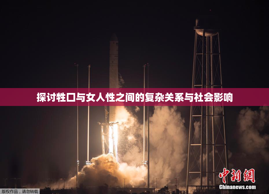探讨牲囗与女人性之间的复杂关系与社会影响